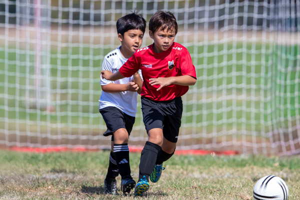 Rec-Soccer-league1 - Los Gatos United Soccer Club