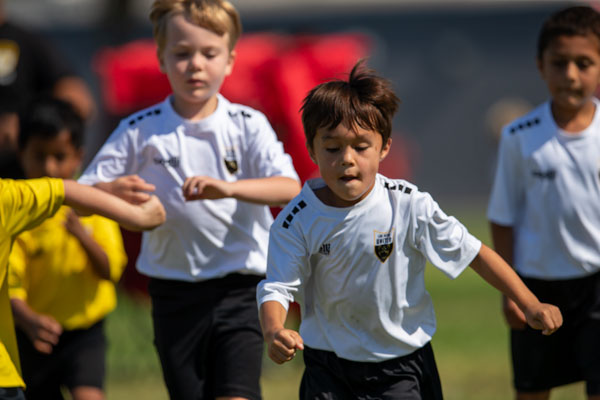 spring-rec-2026-2 - Los Gatos United Soccer Club