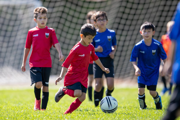 spring-rec-2026-6 - Los Gatos United Soccer Club